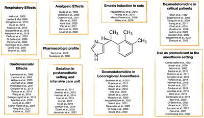 Multiple uses of dexmedetomidine in small animals: a mini review
